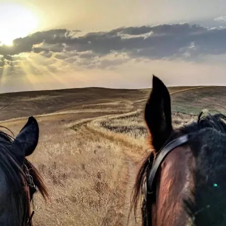 The Land Before Time - Quad & Saddle Retreats Campo de lujo Sant'Anastasio (Pisa)