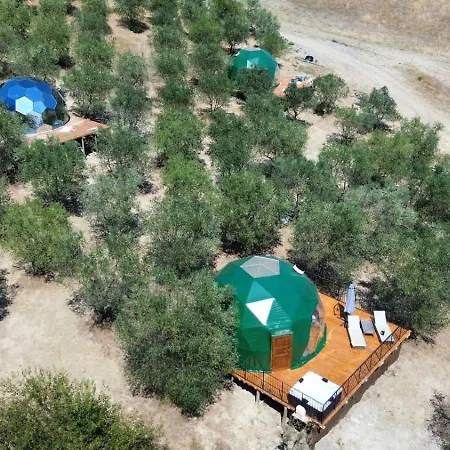 The Land Before Time - Quad & Saddle Retreats *