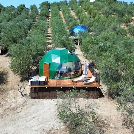 Campo de lujo The Land Before Time - Quad & Saddle Retreats Sant'Anastasio (Pisa)
