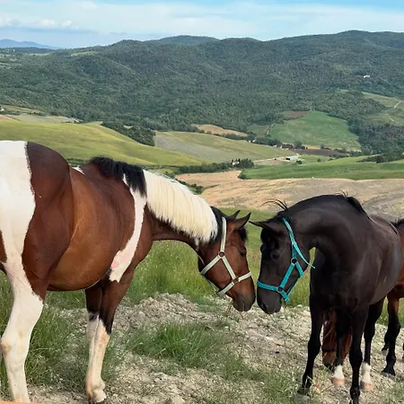 The Land Before Time - Quad & Saddle Retreats *