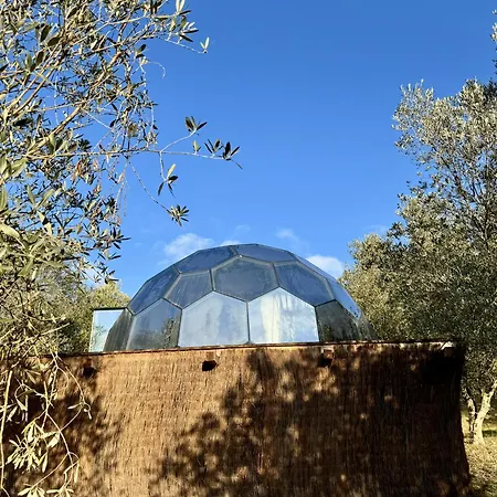 The Land Before Time - Quad & Saddle Retreats Campo de lujo