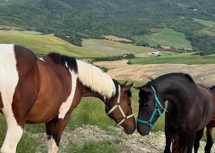 The Land Before Time - Quad & Saddle Retreats *